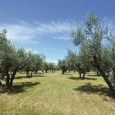 Sleeps 21 Wifi Villa Assisi